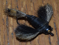 Bass Bug