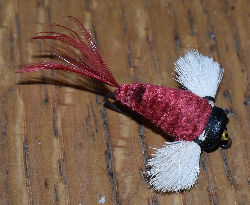 Bass Bug