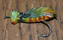 Moss Bug