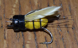 Flying Moth