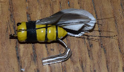 Flying Moth