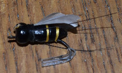 Flying Moth