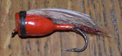 Oreno Bug 5