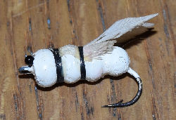 Ozark Bug