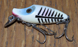 Midget River Runt