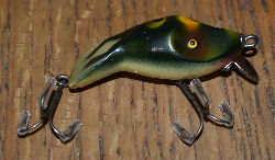Abbey & Imbrie Frog