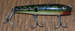 Darter